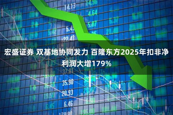 宏盛证券 双基地协同发力 百隆东方2025年扣非净利润大增179%