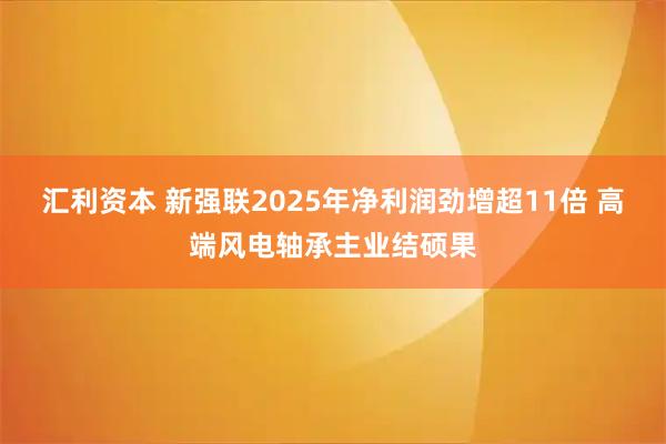 汇利资本 新强联2025年净利润劲增超11倍 高端风电轴承主业结硕果
