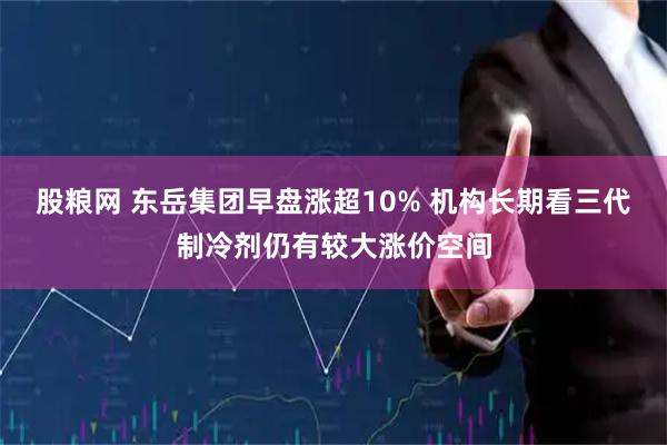股粮网 东岳集团早盘涨超10% 机构长期看三代制冷剂仍有较大涨价空间
