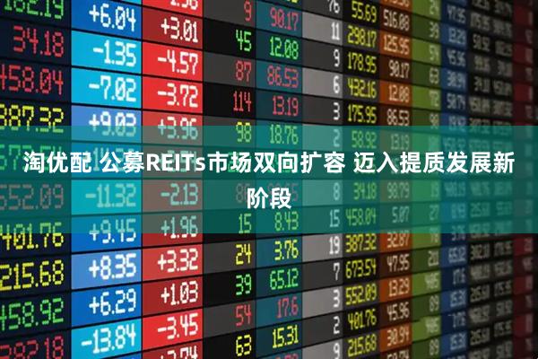淘优配 公募REITs市场双向扩容 迈入提质发展新阶段