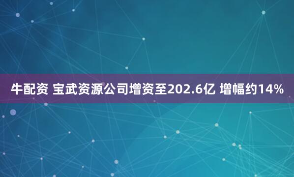 牛配资 宝武资源公司增资至202.6亿 增幅约14%